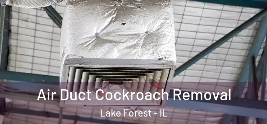 Air Duct Cockroach Removal Lake Forest - IL
