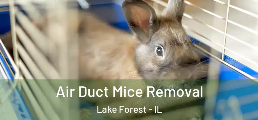  Air Duct Mice Removal Lake Forest - IL