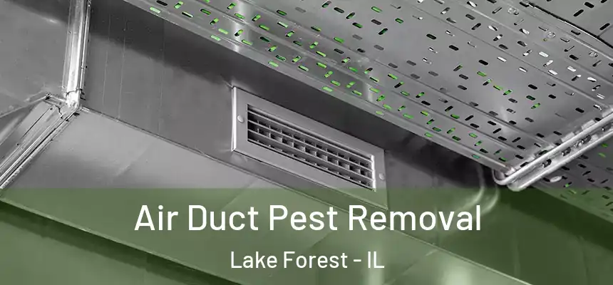  Air Duct Pest Removal Lake Forest - IL