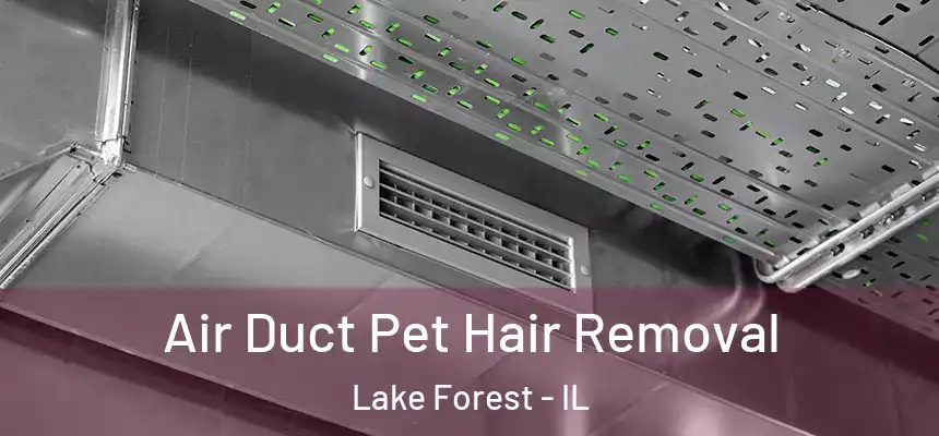 Air Duct Pet Hair Removal Lake Forest - IL