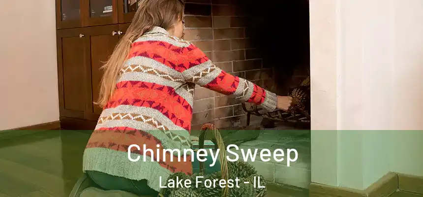 Chimney Sweep Lake Forest - IL