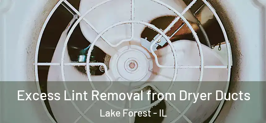 Excess Lint Removal from Dryer Ducts Lake Forest - IL