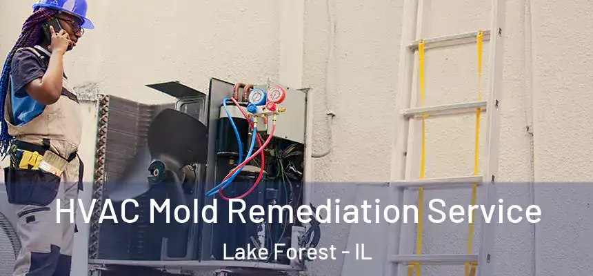 HVAC Mold Remediation Service Lake Forest - IL
