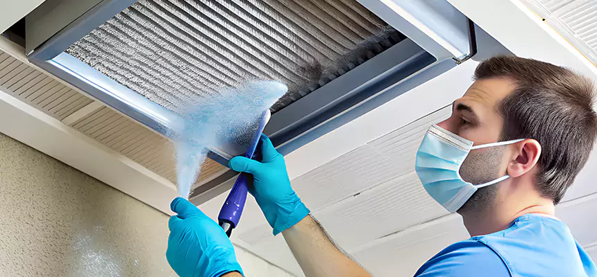 Proactive Dryer Vent & Auxiliary Duct Pollen Cleanup in Lake Forest, IL