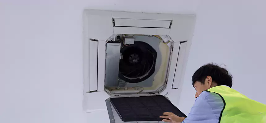 Our Dryer Vent Sanitization Service Services in Lake Forest, IL