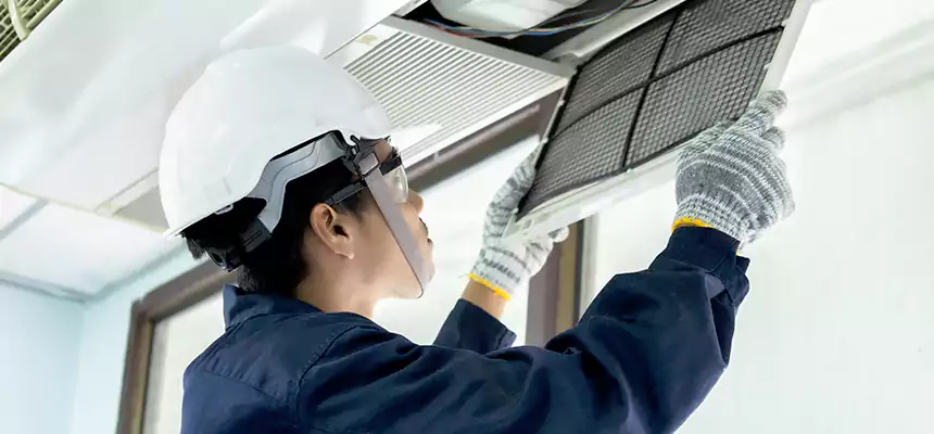 Our Mold & Mildew Removal from Air Ducts Services in Lake Forest, IL