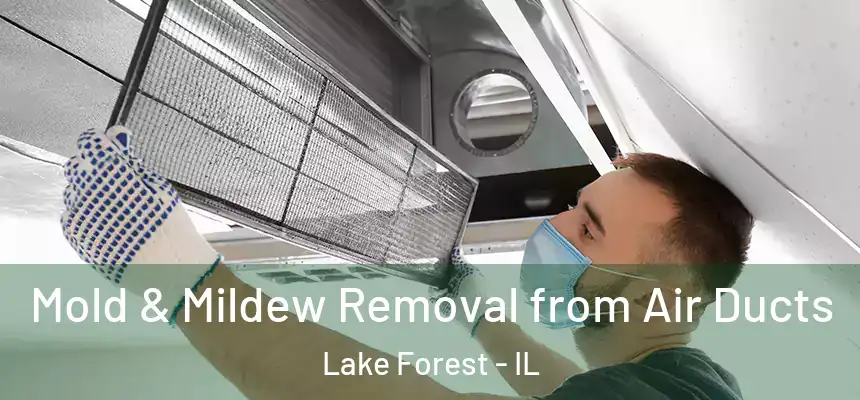  Mold & Mildew Removal from Air Ducts Lake Forest - IL
