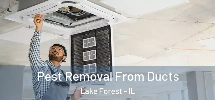  Pest Removal From Ducts Lake Forest - IL