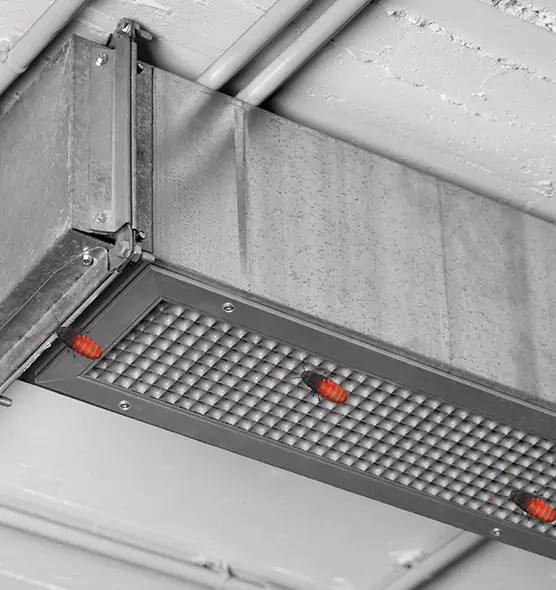About Air Duct Cockroach Removal in Lake Forest, IL