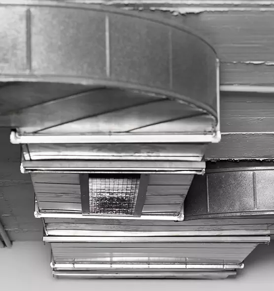 Professional Air Duct Pest Removal in Lake Forest, IL