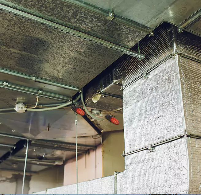 Why Homeowners & Businesses Trust Us in Lake Forest, IL?