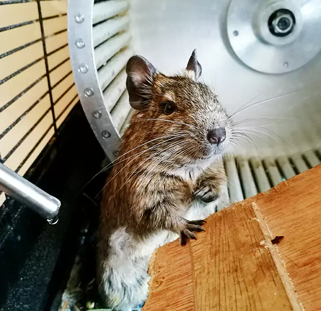 Why Homeowners & Businesses Trust Us Lake Forest, IL?