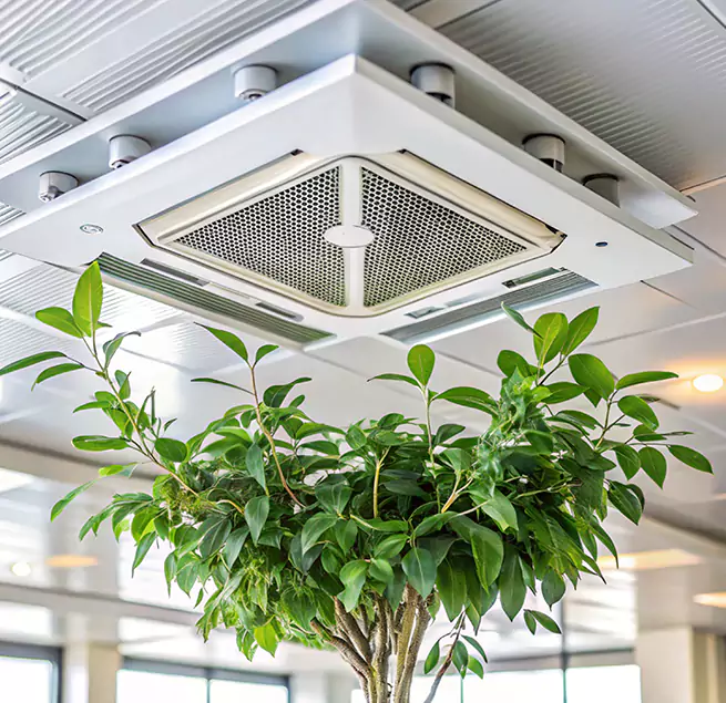 Why Homeowners & Businesses Trust Us in Lake Forest, IL?